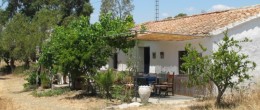 AX139 – Finca Dehesa & Vineyards AX139 – Finca Dehesa & Vineyards