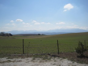 IMG_8028