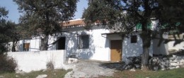 G124 – Cortijo La Millona, Zafarraya