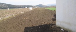 G126 – Building plot and irrigated plot of 3000m2, Zafarraya