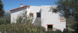 PROPERTY OF THE MONTH