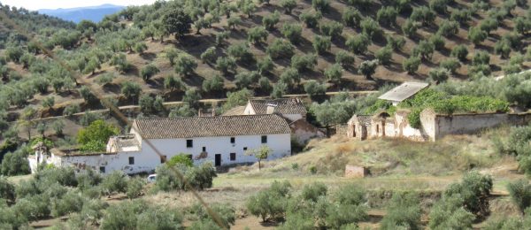 CO168 – Posadas Nuevas, Adamuz, Cordoba – cortijo complex for sale