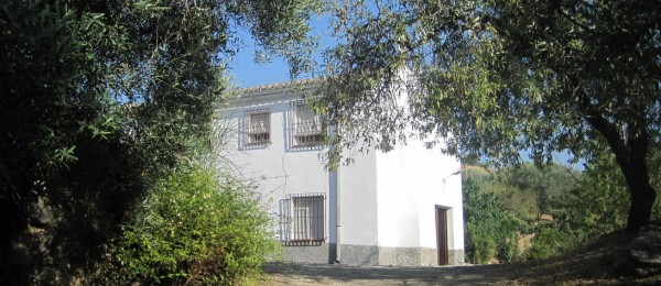 AX423 – Finca Fundidero large country house, Riogordo AX423 – Finca Fundidero large country house, Riogordo