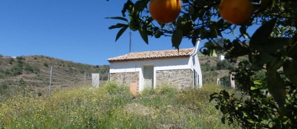 AX562 Casa Ventura, small country cottage, Triana, Velez-Malaga