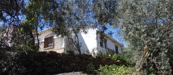 AX564 – Cortijo Cerro Bello, Los Hijanos, Comares AX564 – Cortijo Cerro Bello, Los Hijanos, Comares