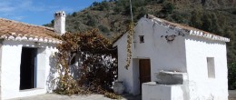 AX607 – Casita de la Huerta – cottage to restore with avocado orchard AX607 – Casita de la Huerta – cottage to restore with avocado orchard