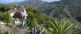 AX609 – Casa Loro, country house in tranquil location – Colmenar area AX609 – Casa Loro, country house in tranquil location – Colmenar area