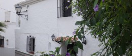 AX619 – Casa Patio de Flores – village house with patio garden, Benamocarra AX619 – Casa Patio de Flores – village house with patio garden, Benamocarra