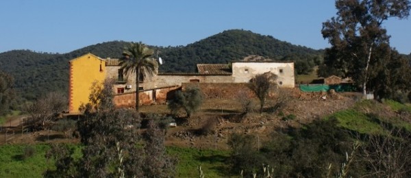 CO149 – El Molino, olive mill with business potential, Montoro (Cordoba) CO149 – El Molino, olive mill with business potential, Montoro (Cordoba)