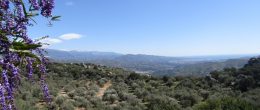 AX697 – Casa La Vista, country house with sea views, Comares AX697 – Casa La Vista, country house with sea views, Comares