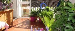 AX745 – La Casita Pequeña, Viñuela village house AX745 – La Casita Pequeña, Viñuela village house