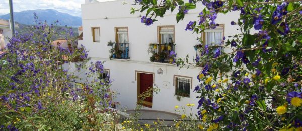 AX777 – Casa Asilah, large village house, Cutar AX777 – Casa Asilah, large village house, Cutar