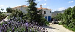 AX781 – Cortijo Sylvestre, Riogordo country house AX781 – Cortijo Sylvestre, Riogordo country house