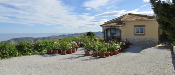 AX810 – Casa BrisaMar, country house with panoramic sea views, Iznate AX810 – Casa BrisaMar, country house with panoramic sea views, Iznate