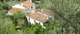 AX872 – Cortijo La Breña, country house with land, Malaga AX872 – Cortijo La Breña, country house with land, Malaga