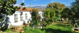 AX965 – Cortijo Los Bravo, country cortijo with unique kennels and training business opportunity – Benamocarra AX965 – Cortijo Los Bravo, country cortijo with unique kennels and training business opportunity – Benamocarra