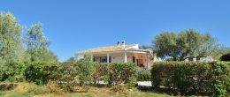 AX980 – Casa La Peña, country house near Los Romanes AX980 – Casa La Peña, country house near Los Romanes
