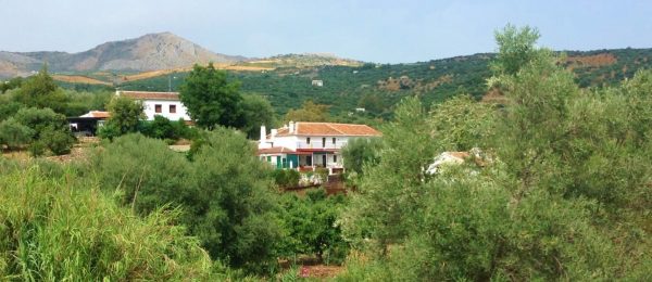 AX993 – Casa de las Rocas, country house with land, Periana area AX993 – Casa de las Rocas, country house with land, Periana area