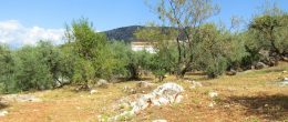 AX989 – Finca Fuente Hurtado, country house with land, Comares AX989 – Finca Fuente Hurtado, country house with land, Comares