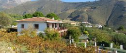 AX1035 – Finca El Señorito, large country estate, Alcaucin AX1035 – Finca El Señorito, large country estate, Alcaucin