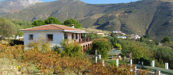 AX1035 – Finca El Señorito, large country estate, Alcaucin AX1035 – Finca El Señorito, large country estate, Alcaucin
