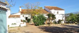 AX1043 – Casa Navidad, rustic country cortijo near Comares AX1043 – Casa Navidad, rustic country cortijo near Comares