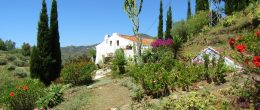 AX1081 – Finca La Molina, country house, Torrox AX1081 – Finca La Molina, country house, Torrox