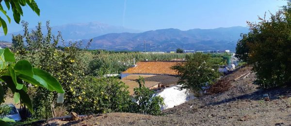 AX1106 – Finca Pilar Luchena, avocado farm and house to renovate, Benamocarra