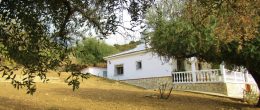 AX1113 – Casa Sim, country house, Alcaucin AX1113 – Casa Sim, country house, Alcaucin