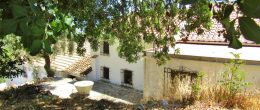 AX1162 – Casa El Molino, country house and business, Comares