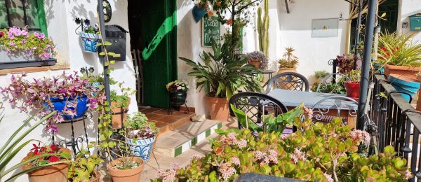 AX1210 – Lagar de las Flores, beautiful village property ideal as a guest house, Viñuela village