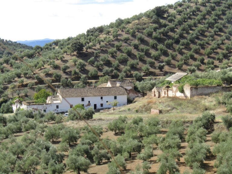 Posadas Nuevas, Adamuz, Cordoba – cortijo complex for sale