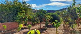 AX1346 – Plot of land for building a house, Salto del Negro, Benamargosa