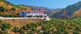 AX1393 – Cortijo Puente Rubite – 2 houses on one plot, near Trapiche/Viñuela