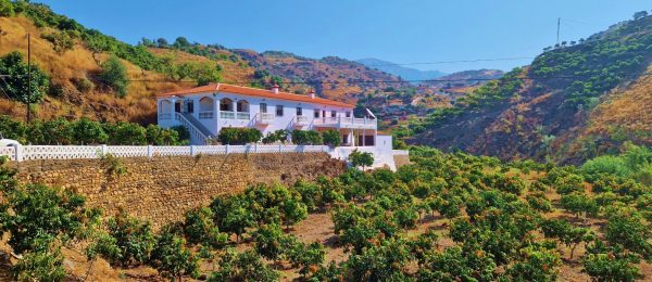 AX1393 – Cortijo Puente Rubite – 2 houses on one plot, near Trapiche/Viñuela