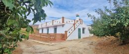 AX1404 – Finca Zahurdones, 2 houses on a productive mango plantation, El Trapiche, Velez-Malaga AX1404 – Finca Zahurdones, 2 houses on a productive mango plantation, El Trapiche, Velez-Malaga