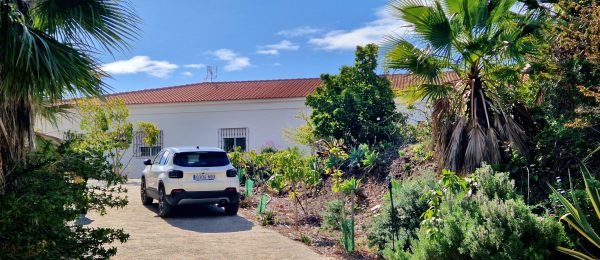 AX1431 – Finca Algarrobos del Mar – country house with mango plantation – Cajiz (Velez-Malaga)