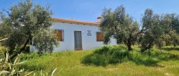 G190 – Finca Los Gaditanos, near Jayena