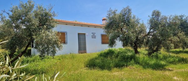 G190 – Finca Los Gaditanos, near Jayena