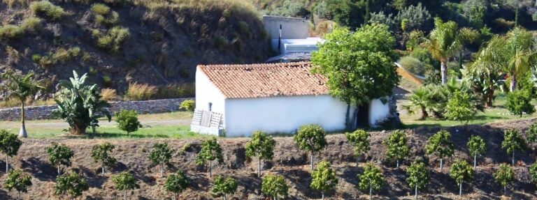 Finca Holgado, land with ruined cortijo and small house – Frigiliana area