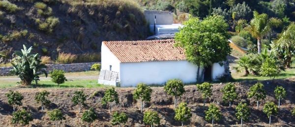 AX1446 – Finca Holgado, land with ruined cortijo and small house – Frigiliana area