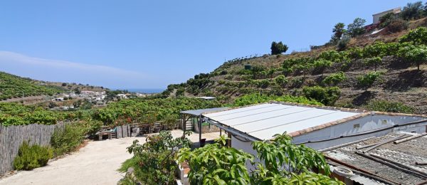 AX1456 – Plot with mobile home, mangos and sea views, near Benajarafe