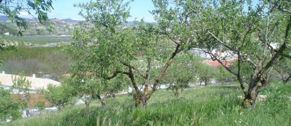 G193 – Plot of land for building in beautiful Fornes, Granada province