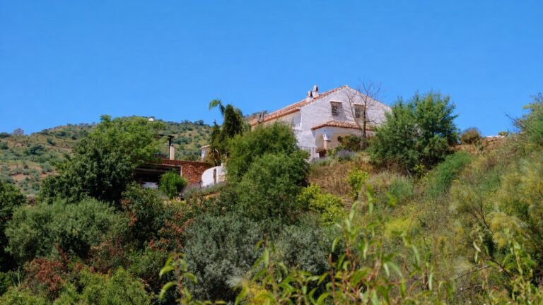 Cortijo Juarez – luxury country house, Riogordo — photo 4