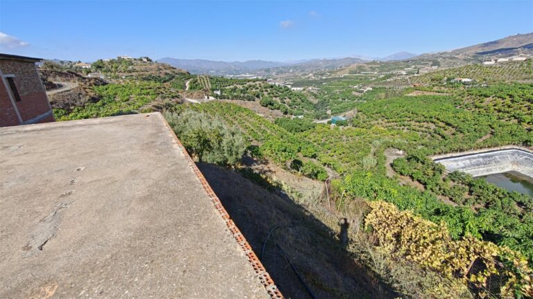 Finca Fortaleza, finca de mangos en Vélez-Málaga